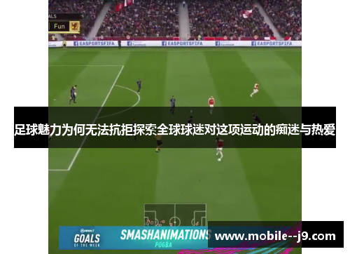 足球魅力为何无法抗拒探索全球球迷对这项运动的痴迷与热爱