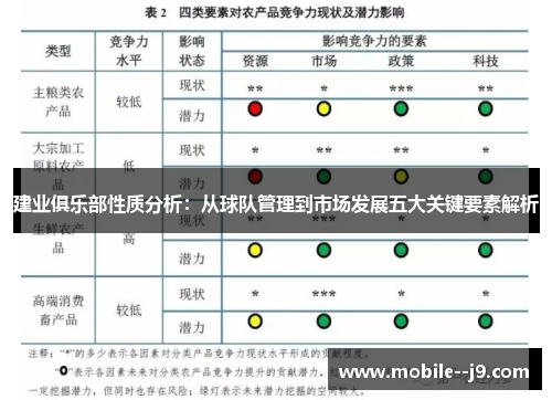 建业俱乐部性质分析：从球队管理到市场发展五大关键要素解析