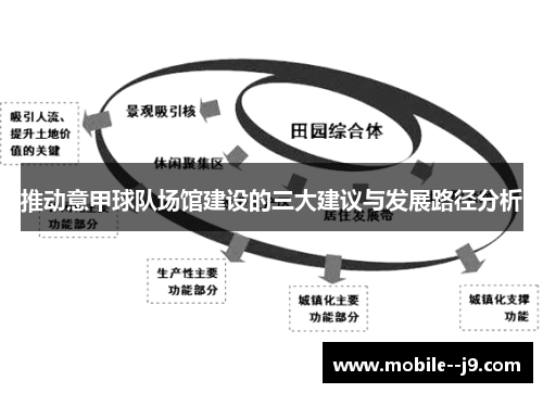 推动意甲球队场馆建设的三大建议与发展路径分析