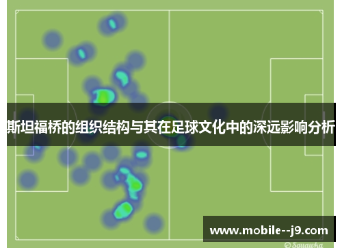 斯坦福桥的组织结构与其在足球文化中的深远影响分析