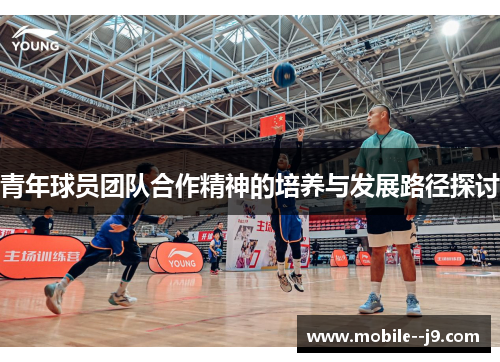 青年球员团队合作精神的培养与发展路径探讨